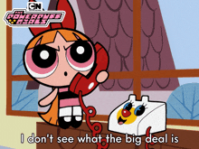 I Don'T See What The Big Deal Is Blossom GIF - I Don'T See What The Big Deal Is Blossom The Powerpuff Girls GIFs
