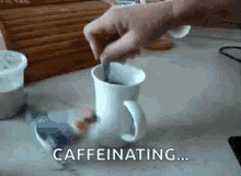 bird excited stirring coffee caffeinated