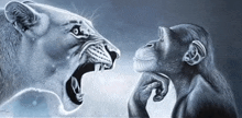 a drawing of a lion and a chimpanzee