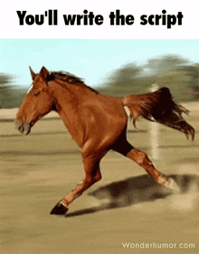 a picture of a brown horse running with the words you 'll write the script beneath it