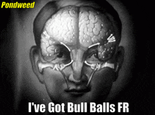 a black and white drawing of a man 's face with the words " i 've got bull balls fr "