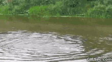 a large body of water with a gif sec.com watermark