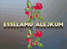 Esselamu Alejkum GIF