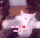 Dancing Cat GIF - Dancing Cat Message GIFs