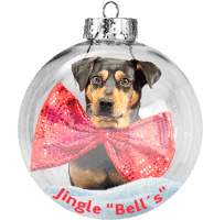 Ruby Kugel Sticker - Ruby Kugel Jingle Bells Stickers