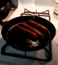 Hotdog Taco GIF - Hotdog Taco GIFs