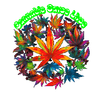 a circle of marijuana leaves with the words " cannabis saves lives " on the bottom