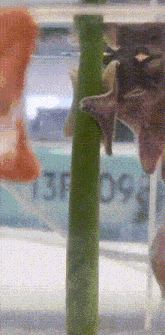 a blurred image of a person standing next to a green pole with the number 13f on it