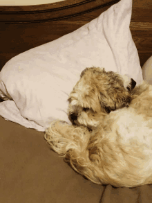 My Bed GIF - My Bed GIFs
