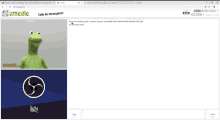 a screen shot of a frog on omegle