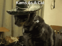 Kams GIF - Kams GIFs