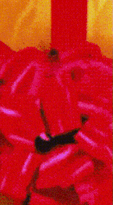 a close up of a red bow on a gift