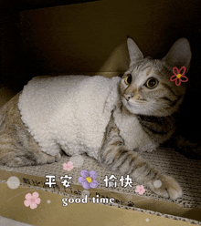 a cat is laying on a cardboard box with flowers and the words good time written on it