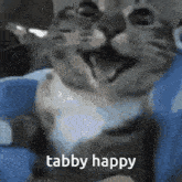 Cat Happy Cat GIF - Cat Happy Cat Cat Happy GIFs