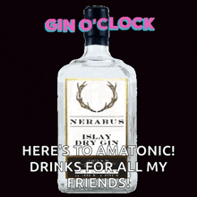 Gin Tonic GIF - Gin Tonic Nerabus GIFs