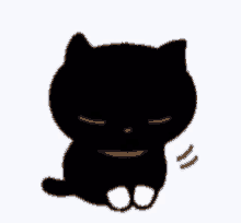 Kutsushita Nyanko GIF - Kutsushita Nyanko Cat GIFs