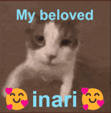 My Beloved GIF - My Beloved Inari GIFs