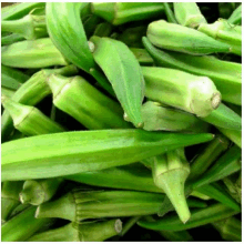 Slimy Green Vegetable GIF - Slimy Green Vegetable Healthy GIFs