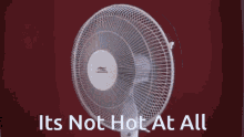 Its Not Hot At All GIF - Its Not Hot At All GIFs