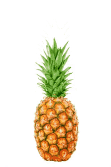 Pineapple Hide GIF