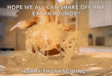 Funny Thanksgiving GIF - Funny Thanksgiving Turkey GIFs