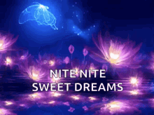 Nite Sweet Dreams GIF - Nite Sweet Dreams Butterflies GIFs