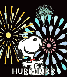 a picture of snoopy with fireworks behind him and the words hurrhurr on the bottom