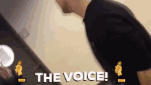 Roc The Voice GIF - Roc The Voice Marlieke GIFs