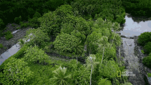 Orest National Geographic GIF - Orest National Geographic Ancient City Of Nan Madol GIFs