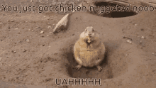 Get Chicken Nuggeted Noob GIF - Get Chicken Nuggeted Noob GIFs