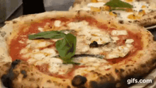 Pizza Pizzanapoletana GIF