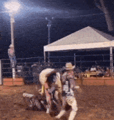 a man in a cowboy hat is riding a bull with the number 24 on his back