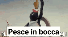Pesce In Bocca GIF - Pesce In Bocca GIFs