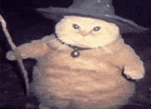 a cat is wearing a wizard hat and holding a staff .