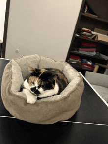 a calico cat is sleeping in a cat bed