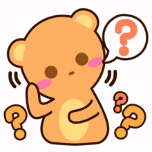 animal bear cute curious question