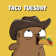 a cartoon of a bear wearing a cowboy hat eating a taco on tuesday