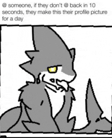 a drawing of a shark that says someone if they don 't back in 10 seconds they make this their profile picture