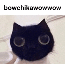 Bowchikawowwow Cat GIF - Bowchikawowwow Cat Black GIFs