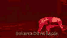 a red background with the words bokuma dil at hayd