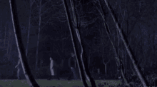 a man and woman are walking through a dark forest at night