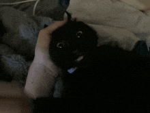 Blep Cat With Blep GIF - Blep Cat With Blep Cat GIFs