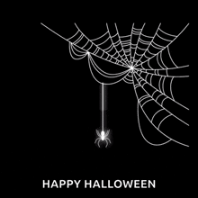 Spider Halloween GIF - Spider Halloween GIFs