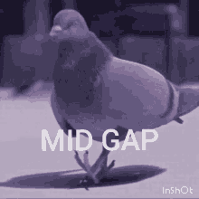 Midgap GIF - Midgap GIFs