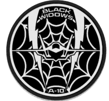 a black and white patch with the words black widows written on it