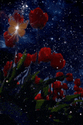 a butterfly is sitting on a flower in a field of red flowers