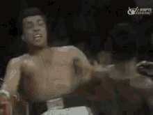 Muhammad Ali Ali GIF - Muhammad Ali Ali Boxing GIFs