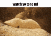 Watch Yo Tone Mf Watch Yo Tone Mf Sandman GIF - Watch Yo Tone Mf Watch Yo Tone Mf Sandman Sandman Watch Yo Tone Mf GIFs