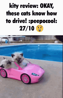 drive kity review kitty review car meme