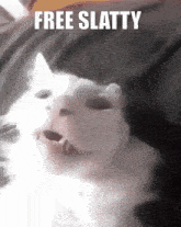 Free Slatty Free Slattypus GIF